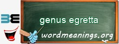 WordMeaning blackboard for genus egretta